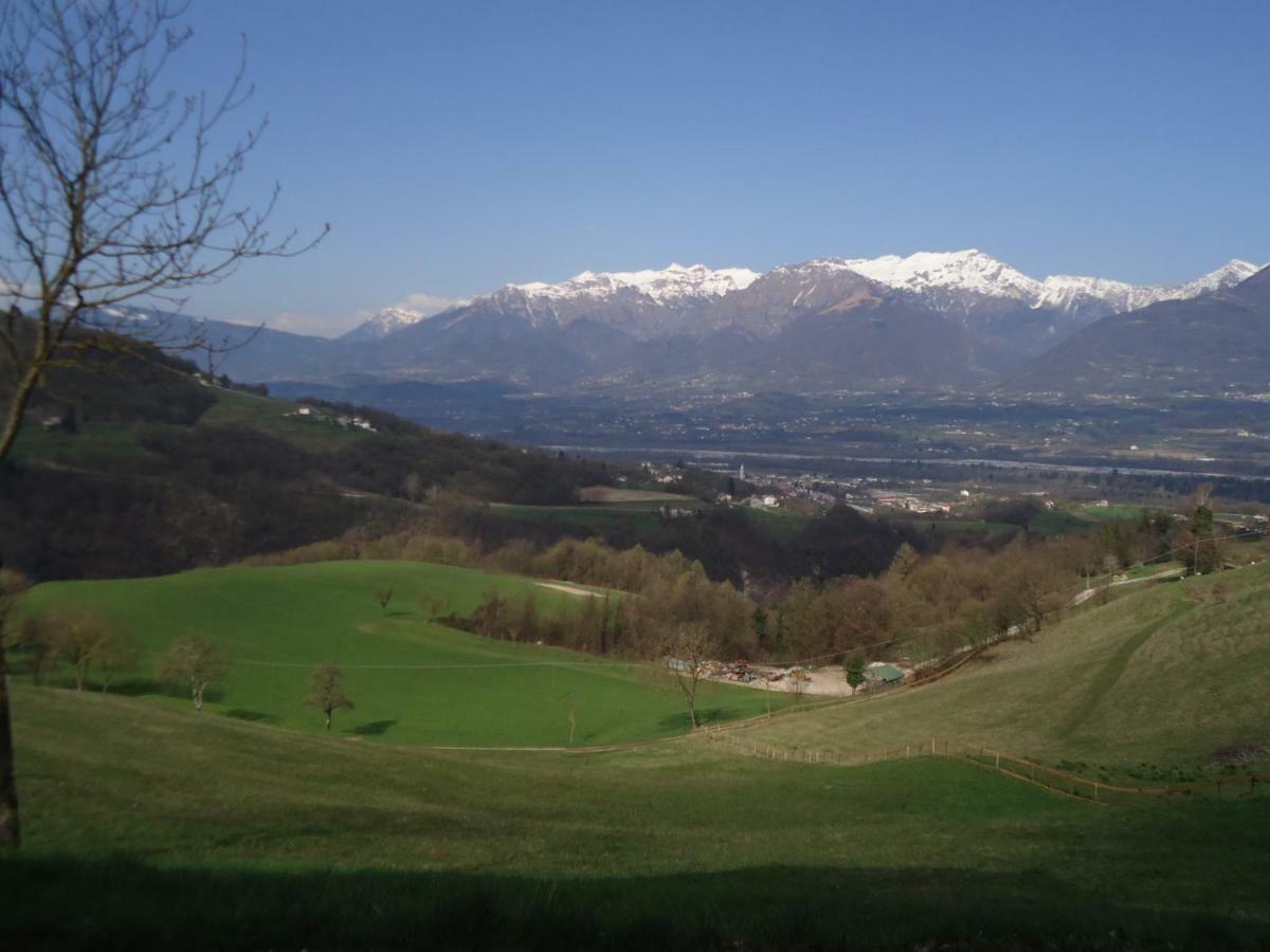 Casa Verde Belluno Mel Buitenkant foto